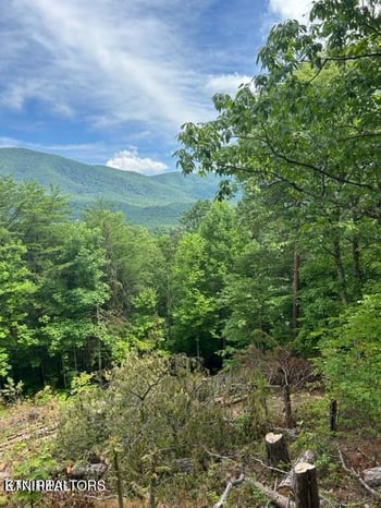 000 Smithfiled Rd, Tellico Plains, TN 37385