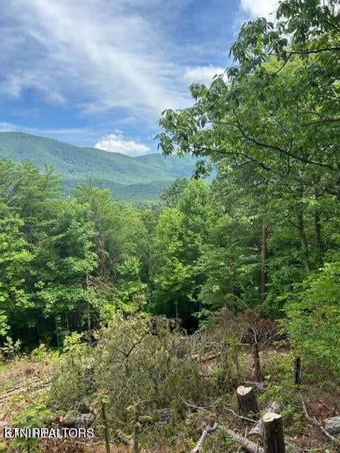 000 Smithfiled Rd, Tellico Plains, TN 37385