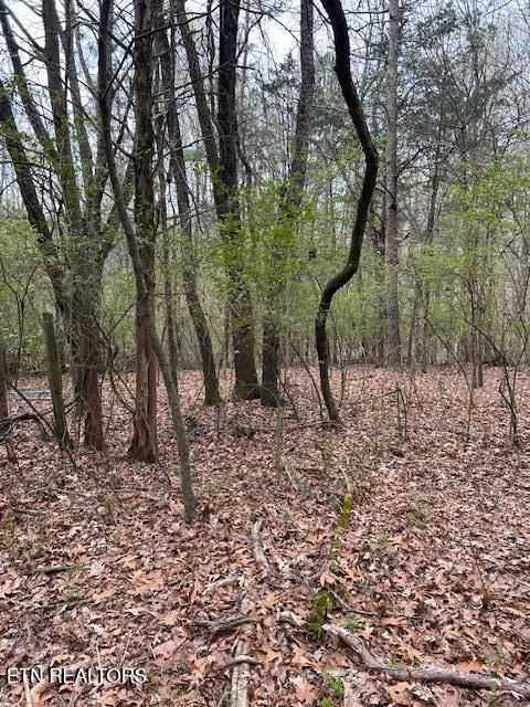 000 Stephanie Ln, Athens, TN 37303
