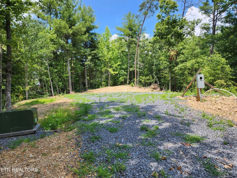 000 Tiger Lilly Dr, Cosby, TN 37722