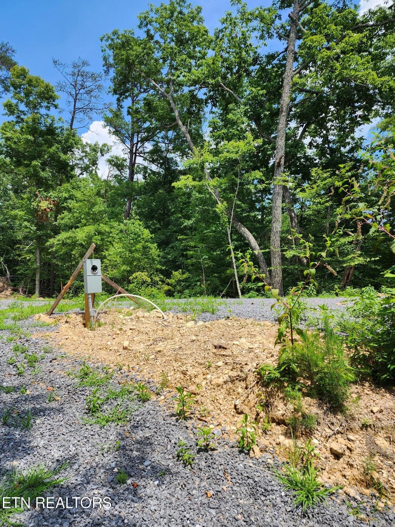 000 Tiger Lilly Dr, Cosby, TN 37722