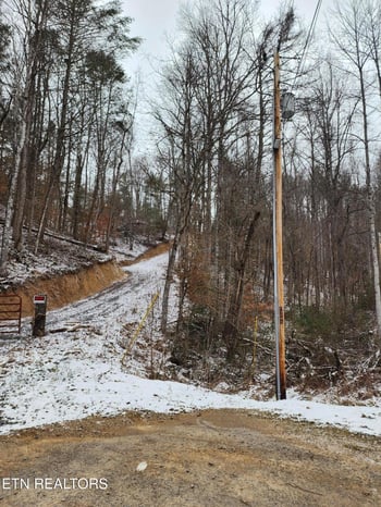 000 Tiger Lilly Dr, Cosby, TN 37722