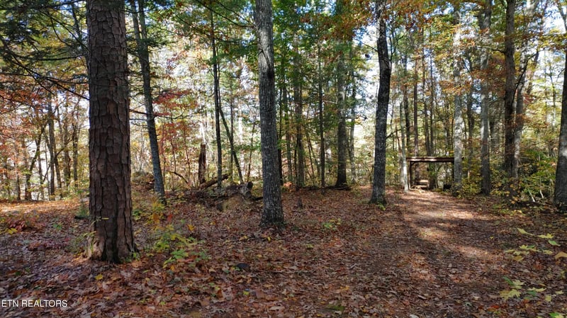 000 Turkey Pen Branch Rd, Maryville, TN 37804