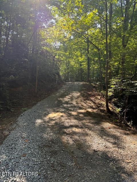 000 Turkey Pen Branch Rd, Maryville, TN 37804