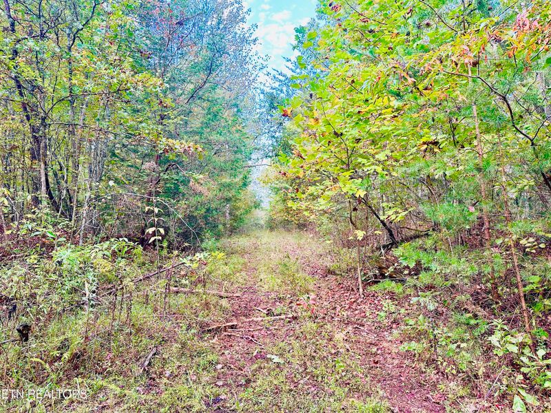 000 Wentland Rd, Deer Lodge, TN 37726