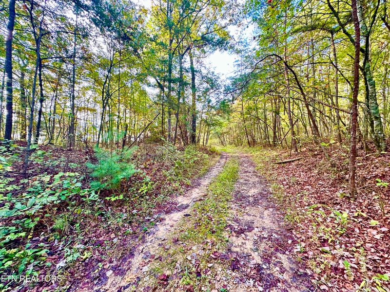 000 Wentland Rd, Deer Lodge, TN 37726