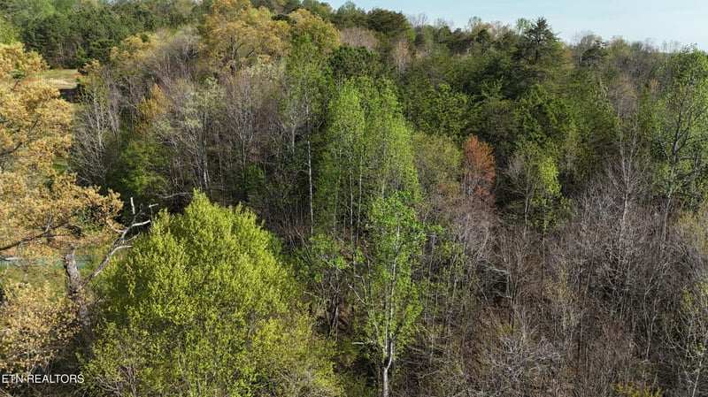 0000 County Road 675, Athens, TN 37303