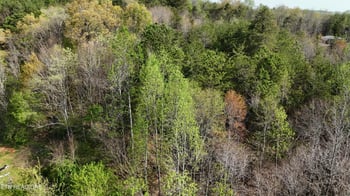 0000 County Road 675, Athens, TN 37303