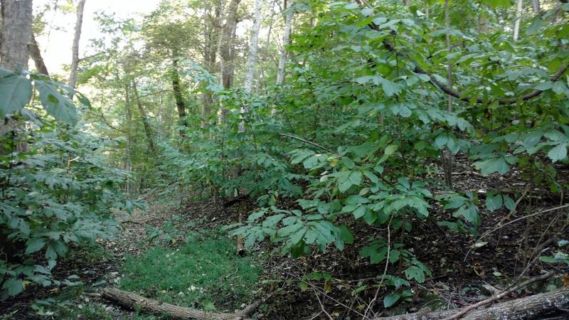 0000 Kidwell Ridge Rd, Morristown, TN 37814