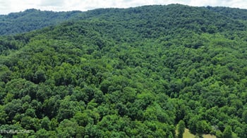 0000 Lick Creek Ln, Lafollette, TN 37766