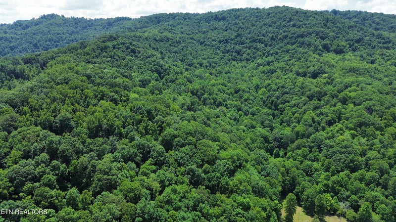 0000 Lick Creek Ln, Lafollette, TN 37766