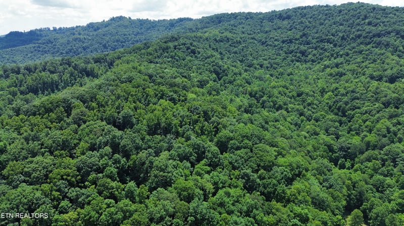 0000 Lick Creek Ln, Lafollette, TN 37766