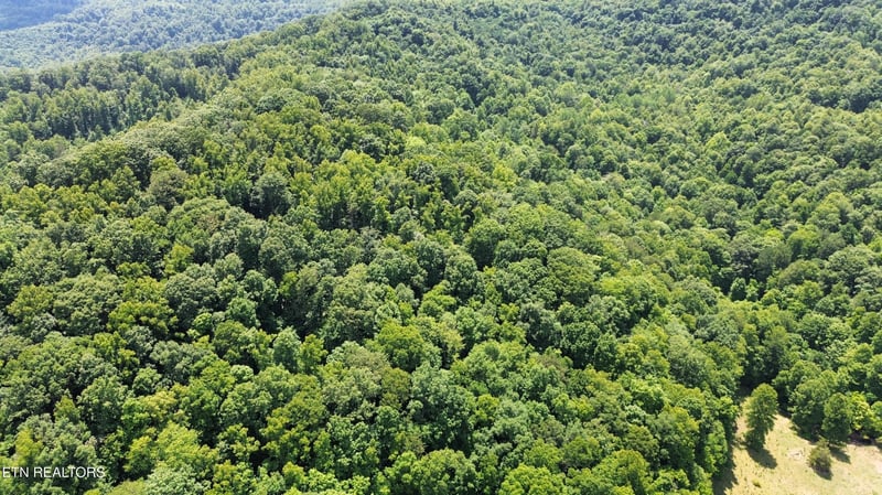 0000 Lick Creek Ln, Lafollette, TN 37766