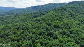 0000 Lick Creek Ln, Lafollette, TN 37766