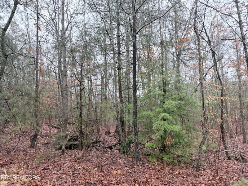 000000 Hwy 68, Tellico Plains, TN 37385
