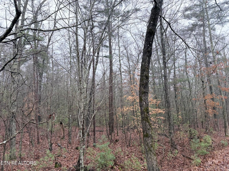 000000 Hwy 68, Tellico Plains, TN 37385