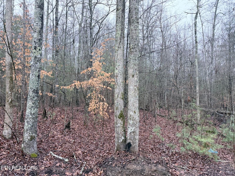 000000 Hwy 68, Tellico Plains, TN 37385