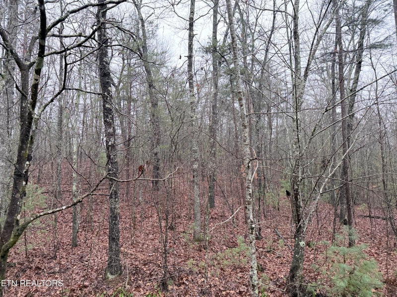 000000 Hwy 68, Tellico Plains, TN 37385