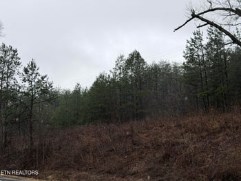 000000 Hwy 68, Tellico Plains, TN 37385
