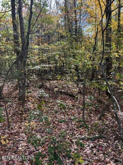 01 County Road 121, Athens, TN 37303