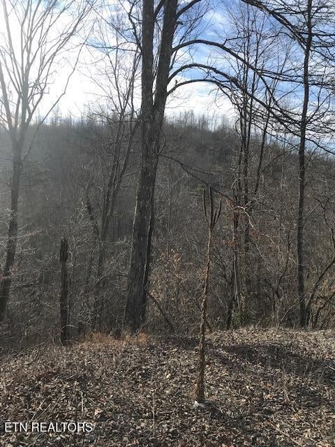019 007.01 E Of Us Rt 27, Sunbright, TN 37872