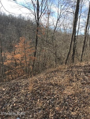 019 007.01 E Of Us Rt 27, Sunbright, TN 37872