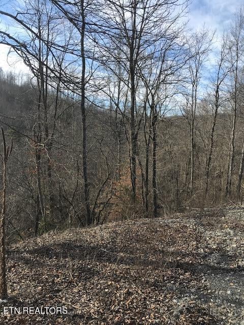 019 007.01 E Of Us Rt 27, Sunbright, TN 37872