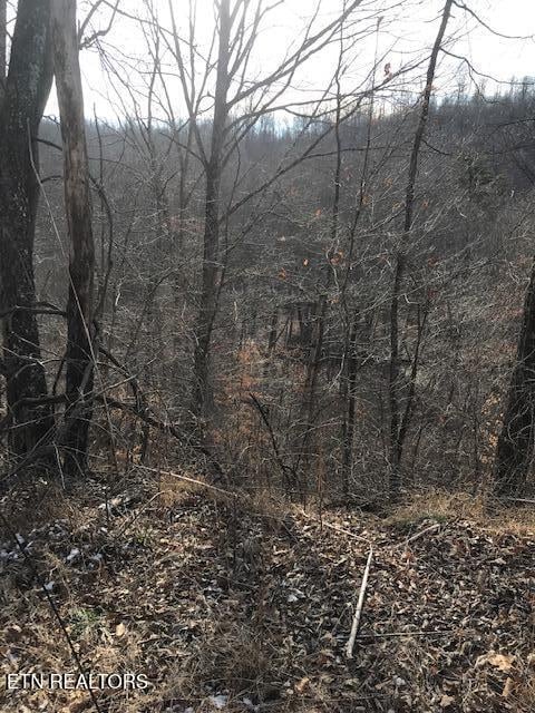 019 007.01 E Of Us Rt 27, Sunbright, TN 37872
