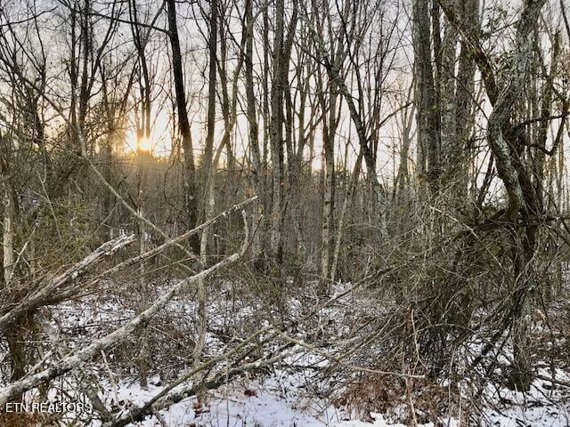 069 145.00 Letner Rd, Helenwood, TN 37755