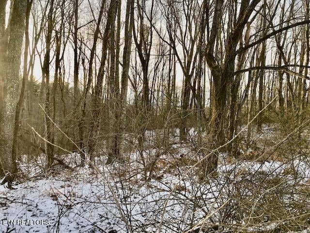 069 145.00 Letner Rd, Helenwood, TN 37755
