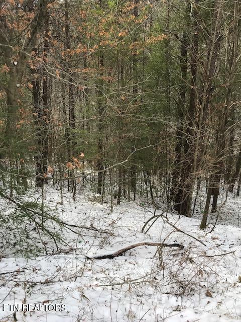 080 013.00 Buffalo Rd, Oneida, TN 37841