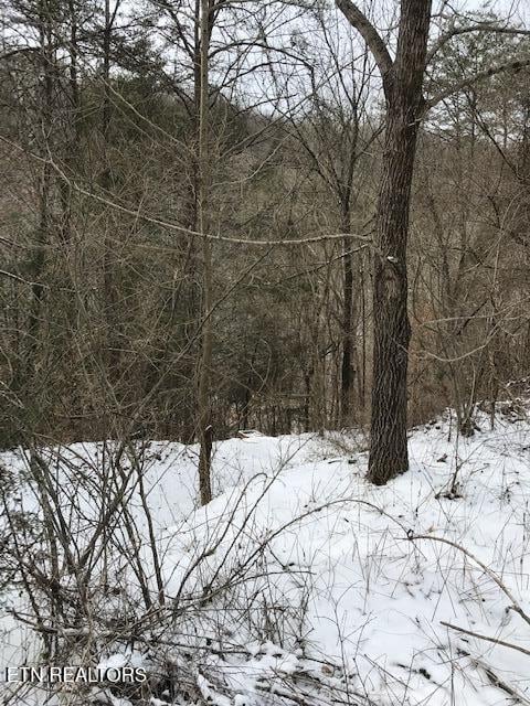 080 013.00 Buffalo Rd, Oneida, TN 37841