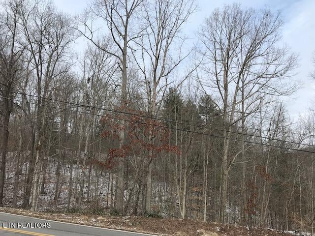 080 015.00 Buffalo Rd, Oneida, TN 37841