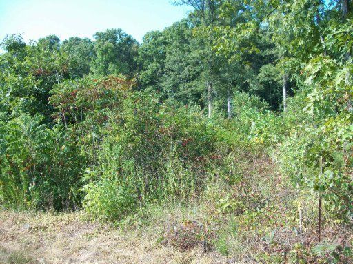 1 Acre Coytee Rd, Greenback, TN 37742