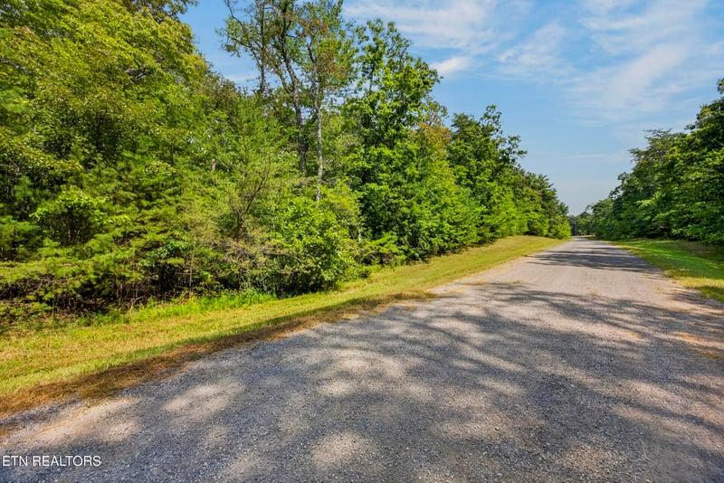 1 Acre Mountain Ash Dr, Monterey, TN 38574