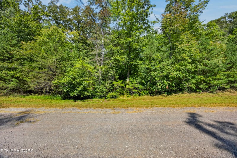 1 Acre Mountain Ash Dr, Monterey, TN 38574