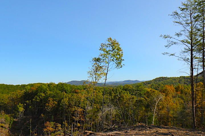 1 Creek Rd, Tellico Plains, TN 37385