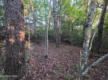 1 Cumberland Lakes Dr, Monterey, TN 38574