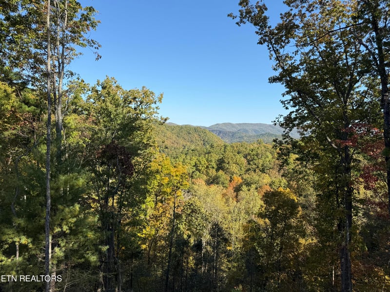 1 Mule #122, Sevierville, TN 37862