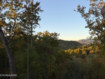 1 Mule #122, Sevierville, TN 37862