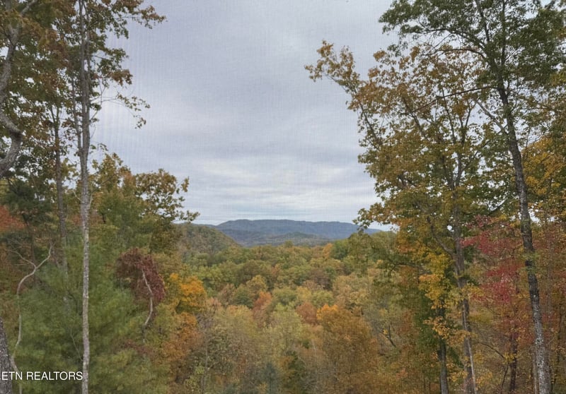 1 Mule #122, Sevierville, TN 37862