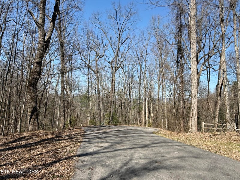 1 Mule #122, Sevierville, TN 37862