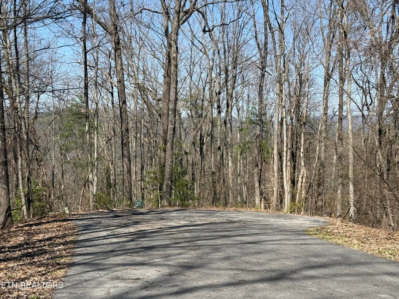 1 Mule #122, Sevierville, TN 37862