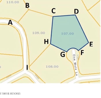 1 Mule #122, Sevierville, TN 37862