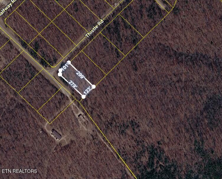 1 Thistle Rd, Monterey, TN 38574