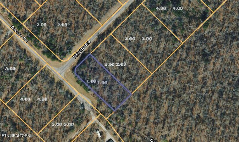 1 Thistle Rd, Monterey, TN 38574