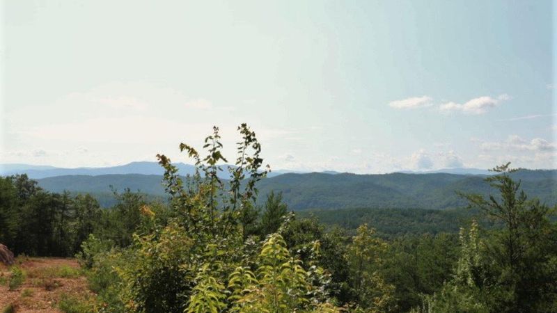1 Wiggins Rd, Tellico Plains, TN 37385