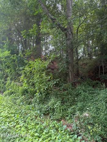 1.43 ac Randolph Fridley Rd, Sweetwater, TN 37874