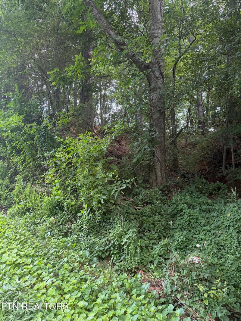 1.43 ac Randolph Fridley Rd, Sweetwater, TN 37874