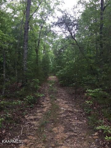 1.92 acre Utah Rd, Tellico Plains, TN 37385